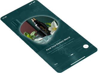 Screen preview